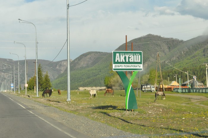 Село Акташ в Республике Алтай