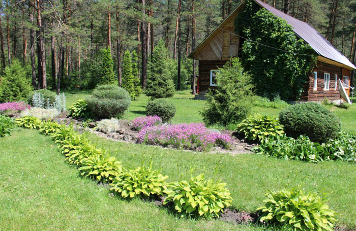  Горно-Алтайский ботанический сад «Чистый луг» 