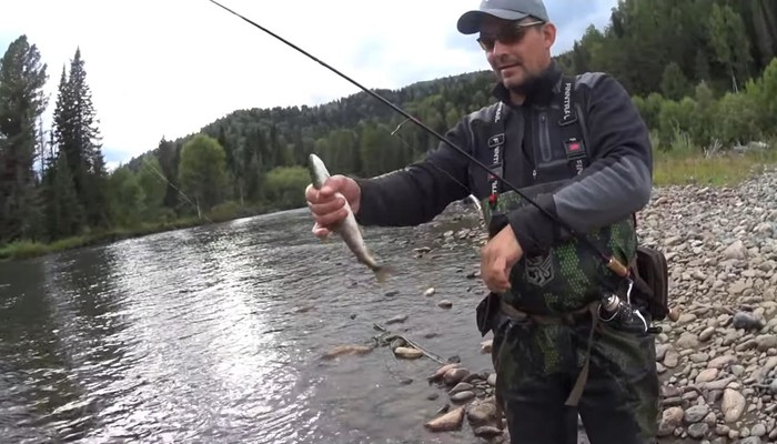 Рыбалка на Телецком озере